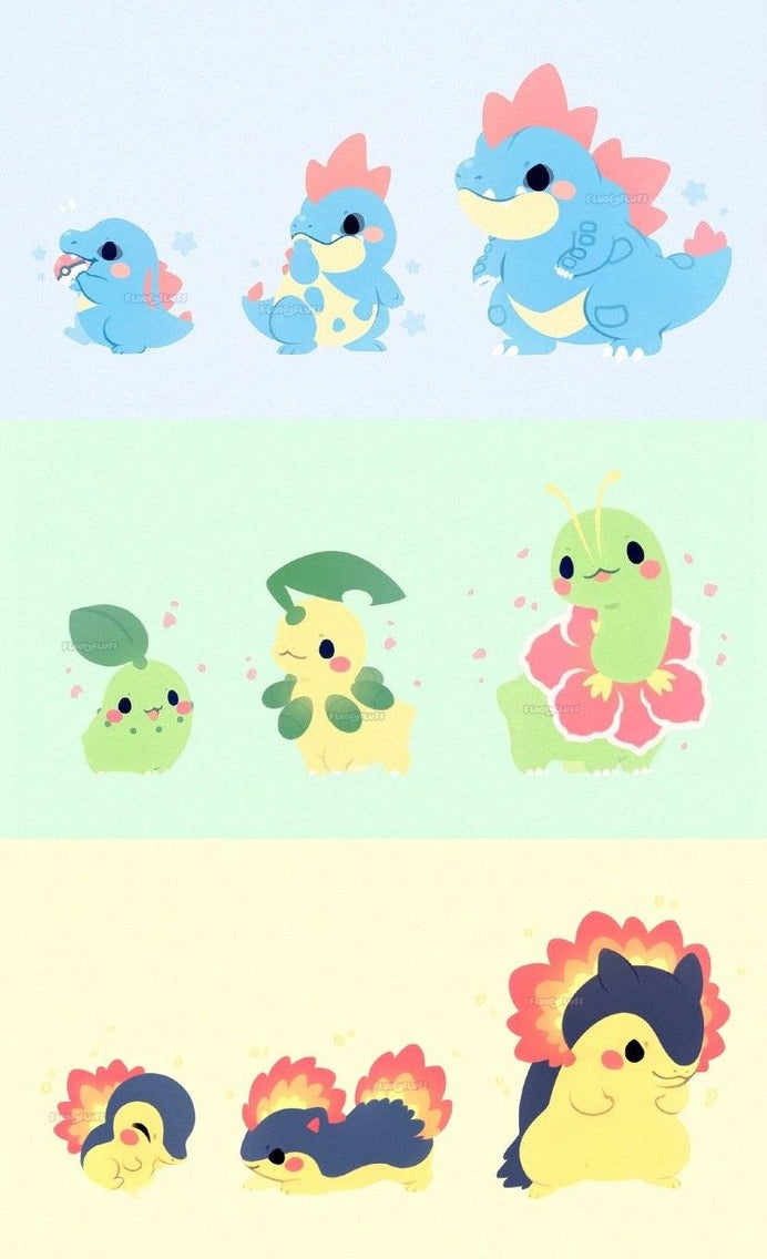 Extra shipping fee - Order #5537 & #5603