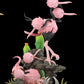 [PREORDER] 1/20 Scale World Figure [WONDER] - Doduo & Dodrio & Salandit