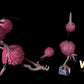 [IN STOCK] 1/20 Scale World Figure [WONDER] - Doduo & Dodrio