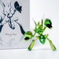 [IN STOCK] 1/20 Scale World Figure [OG] - Scizor