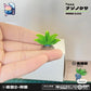 [PREORDER] 1/20 Scale World Figure [HJ] - Oddish