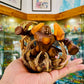 [IN STOCK] 1/20 Scale World Figure [PALLET TOWN] - Regirock