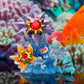 [IN STOCK] 1/20 Scale World Figure [SYX] - Staryu & Starmie