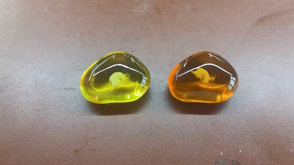 [PREORDER] 1/3 Scale Accessories [THE] - Pokémon Fossils