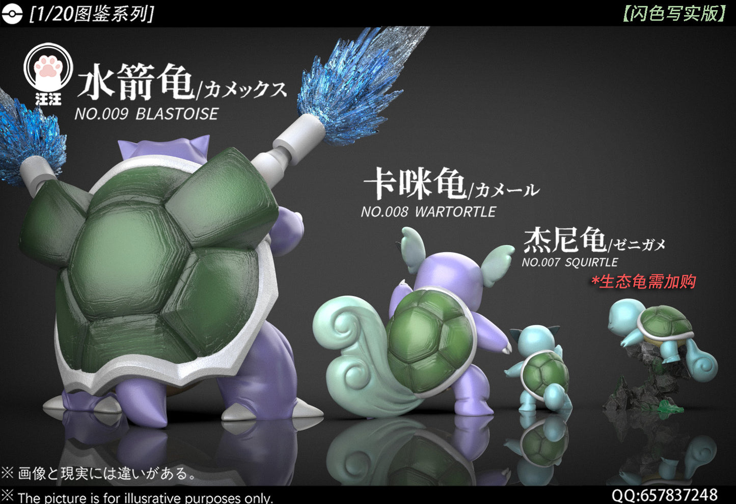[PREORDER] 1/20 Scale World Figure [WW] - Squirtle & Wartortle & Blastoise