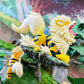 [IN STOCK] 1/20 Scale World Figure [PALLET TOWN] - Growlithe & Arcanine