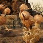 [PREORDER] 1/20 Scale World Figure [PALLET TOWN] - Doduo & Dodrio