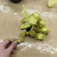 [PREORDER CLOSED] 1/20 Scale World Figure [BF] - Onix