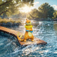 [REMAINING BALANCE] 1/20 Scale World Figure [WONDER] - Pikachu & Buizel & Gliscor & Infernape & Staraptor & Torterra