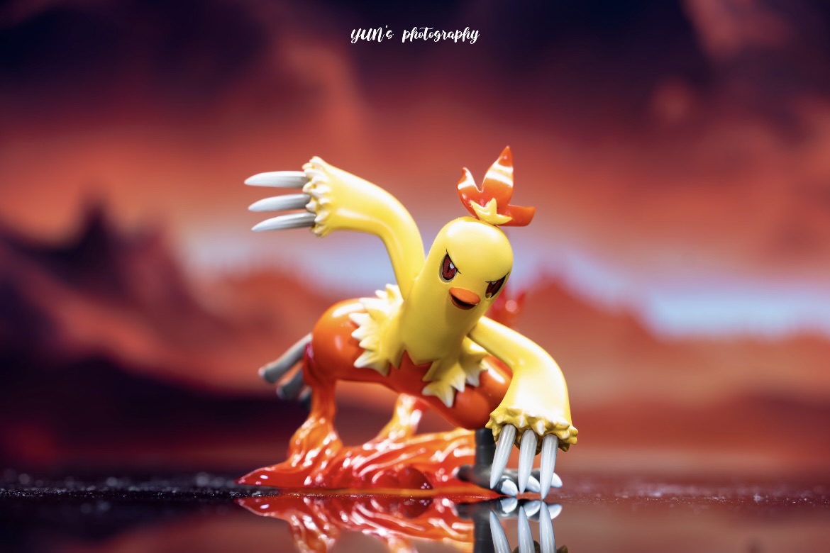 [IN STOCK] 1/20 Scale World Figure [ZDM] - Torchic & Combusken & Blaziken
