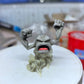 [PREORDER] 1/20 Scale World Figure [HORIZON] - Geodude & Graveler & Golem