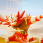 [IN STOCK] 1/20 Scale World Figure [WONDER] - Litten & Torracat & Incineroar