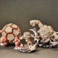 [IN STOCK] 1/20 Scale World Figure [PALLET TOWN] - Geodude & Graveler & Golem