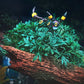 [PREORDER] 1/20 Scale World Figure [ZR] - Umbreon