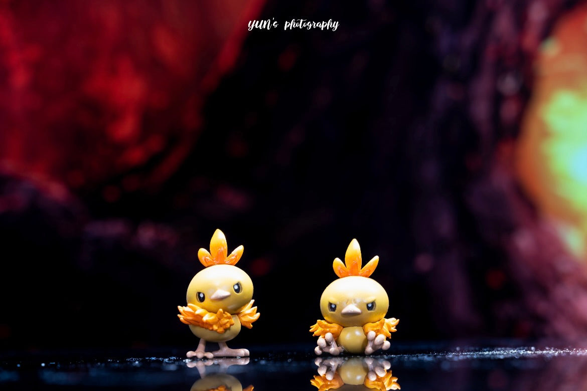 [IN STOCK] 1/20 Scale World Figure [ZDM] - Torchic & Combusken & Blaziken