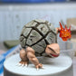 [PREORDER] 1/20 Scale World Figure [HORIZON] - Geodude & Graveler & Golem