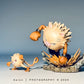 [IN STOCK] 1/20 Scale World Figure [LIMOUSINE] - Mankey & Primeape