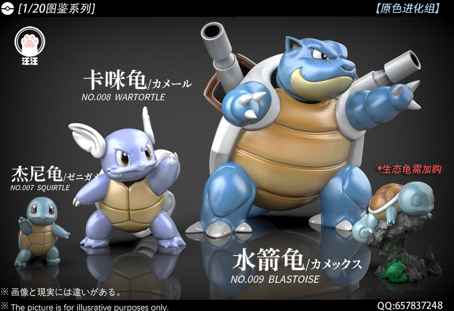 [PREORDER] 1/20 Scale World Figure [WW] - Squirtle & Wartortle & Blastoise