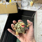 [IN STOCK] 1/20 Scale World Figure [JP] - Golem