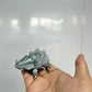 [PREORDER] 1/20 Scale World Figure [HAPPY HOUSE] - Rhyhorn & Rhydon