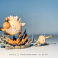 [IN STOCK] 1/20 Scale World Figure [LIMOUSINE] - Mankey & Primeape