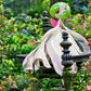 [IN STOCK] 1/20 Scale World Figure [PALLET TOWN] - Mega Gardevoir & Mega Gallade