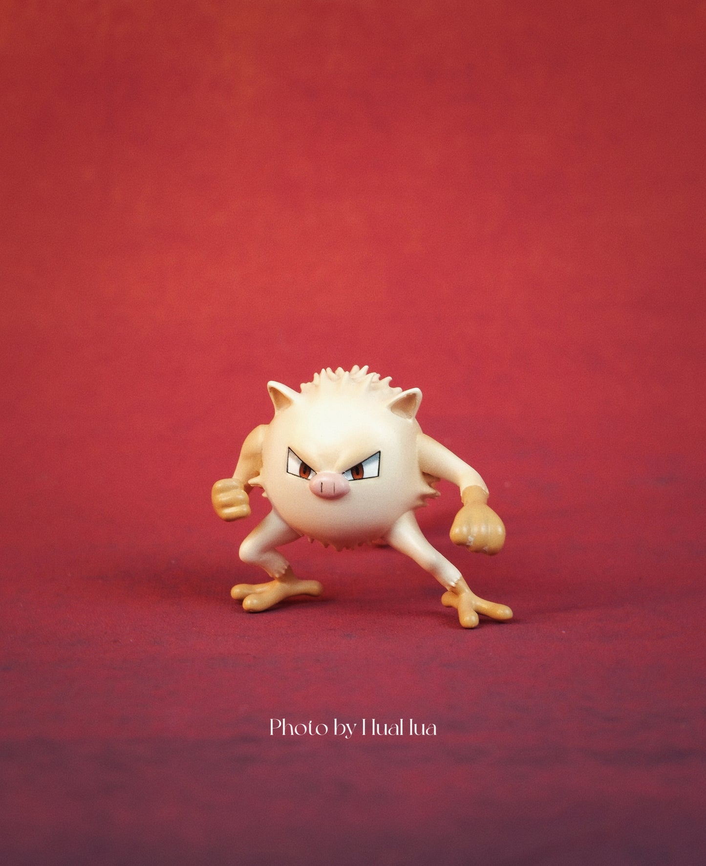 [IN STOCK] 1/20 Scale World Figure [WONDER] - Mankey & Primeape