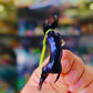 [IN STOCK] 1/20 Scale World Figure [PUMPFAKE] - Zygarde (10% Forme)