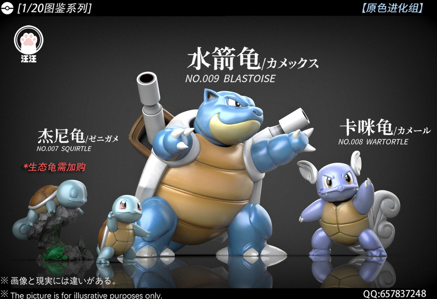 [PREORDER] 1/20 Scale World Figure [WW] - Squirtle & Wartortle & Blastoise