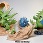 [IN STOCK] 1/20 Scale World Figure [PALLET TOWN] - Mega Tyranitar