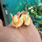 [IN STOCK] 1/20 Scale World Figure [LFG] - Vaporeon & Flareon
