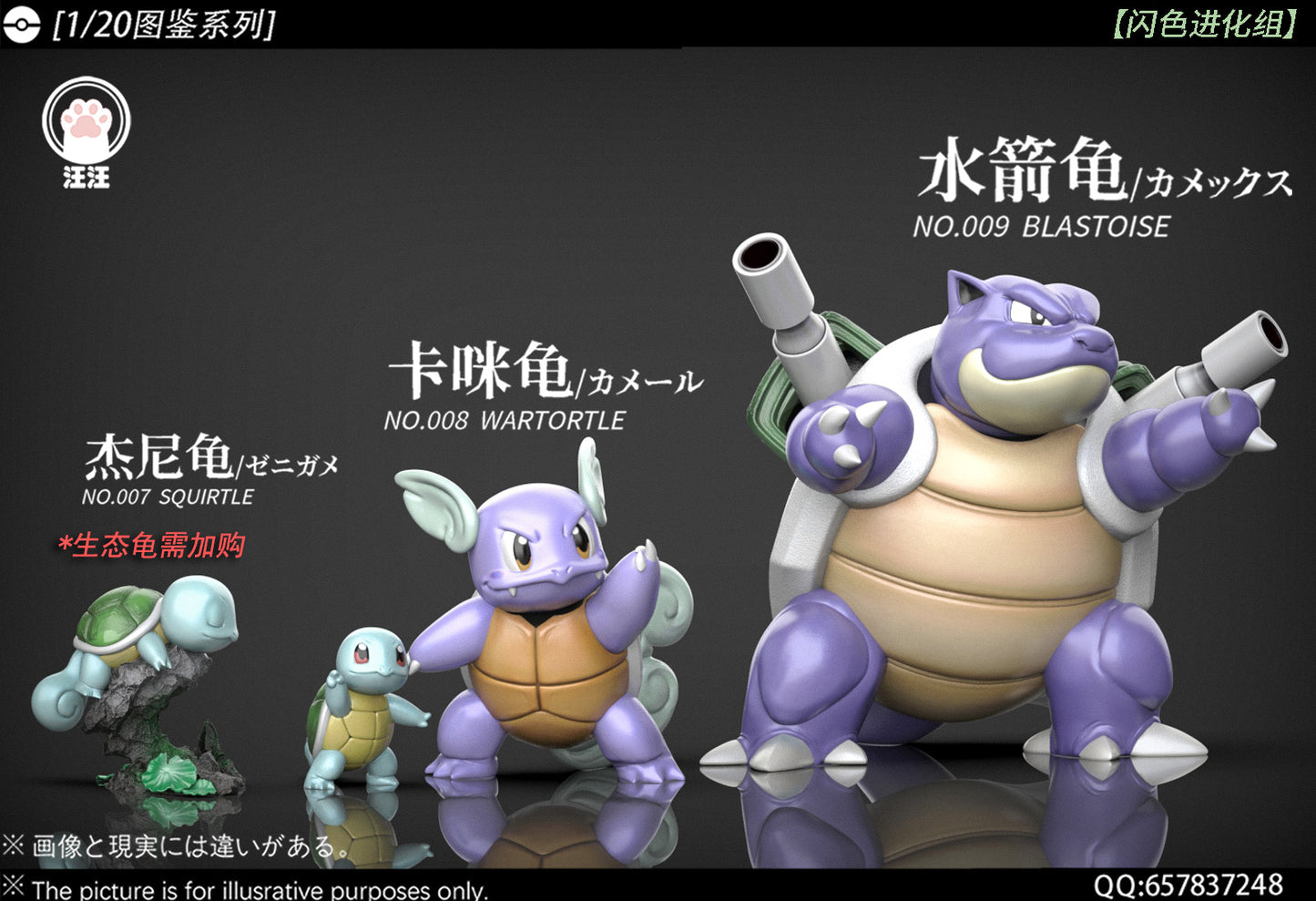 [PREORDER] 1/20 Scale World Figure [WW] - Squirtle & Wartortle & Blastoise