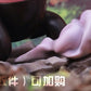 [PREORDER CLOSED] 1/20 Scale World Figure [MD] - Stufful & Bewear