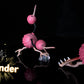 [IN STOCK] 1/20 Scale World Figure [WONDER] - Doduo & Dodrio