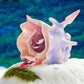 [PREORDER] 1/20 Scale World Figure [HAPPY HOUSE] - Shellder & Cloyster