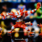 [IN STOCK] 1/20 Scale World Figure [WONDER] - Litten & Torracat & Incineroar