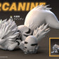 [PREORDER] 1/20 Scale World Figure [ASTERISM] - Arcanine