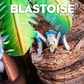 [PREORDER CLOSED] Statue [PC HOUSE] - The Blastoise Family