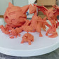 [PREORDER] 1/20 Scale World Figure [WONDER] - Hoenn Set (Pikachu & Corphish & Torkoal & Sceptile & Swellow & Glalie)