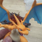 [IN STOCK] 1/20 Scale World Figure [MD] - Mega Charizard Y