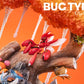 [PREORDER CLOSED] Statue [PC HOUSE] - Bug Type Pokémon
