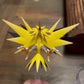 [IN STOCK] 1/20 Scale World Figure [BOX] - Zapdos & Moltres & Articuno