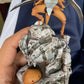 [IN STOCK] 1/20 Scale World Figure [XO] - Kabuto & Kabutops