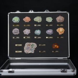 [REMAINING BALANCE] 1/3 Scale Accessories [THE] - Pokémon Fossils