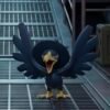 Murkrow